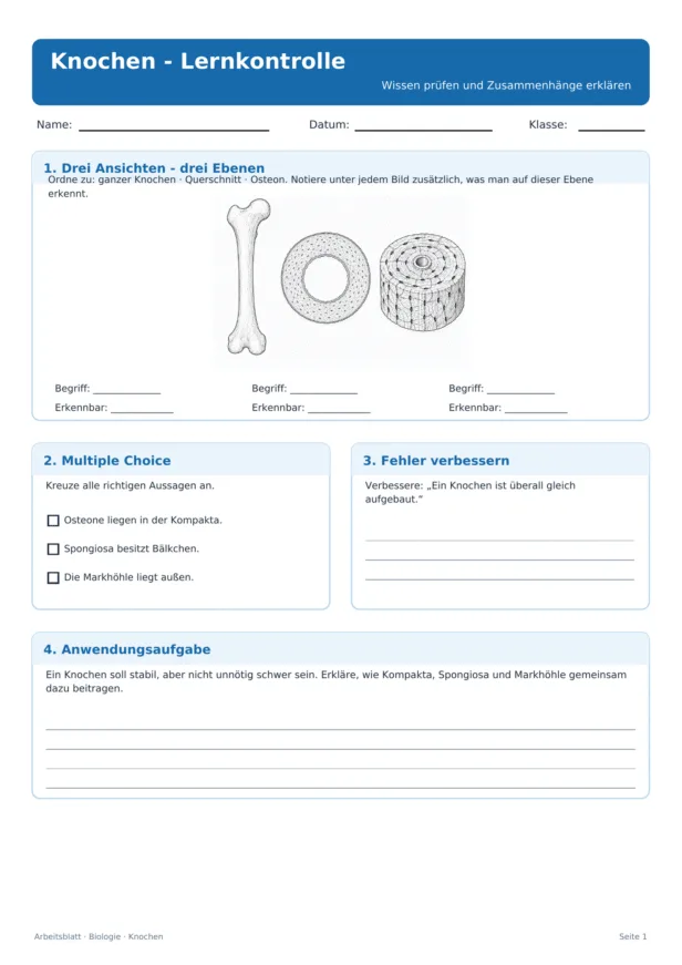 Knochen Arbeitsblatt PDF mit Lernkontrolle und Anwendungsaufgaben